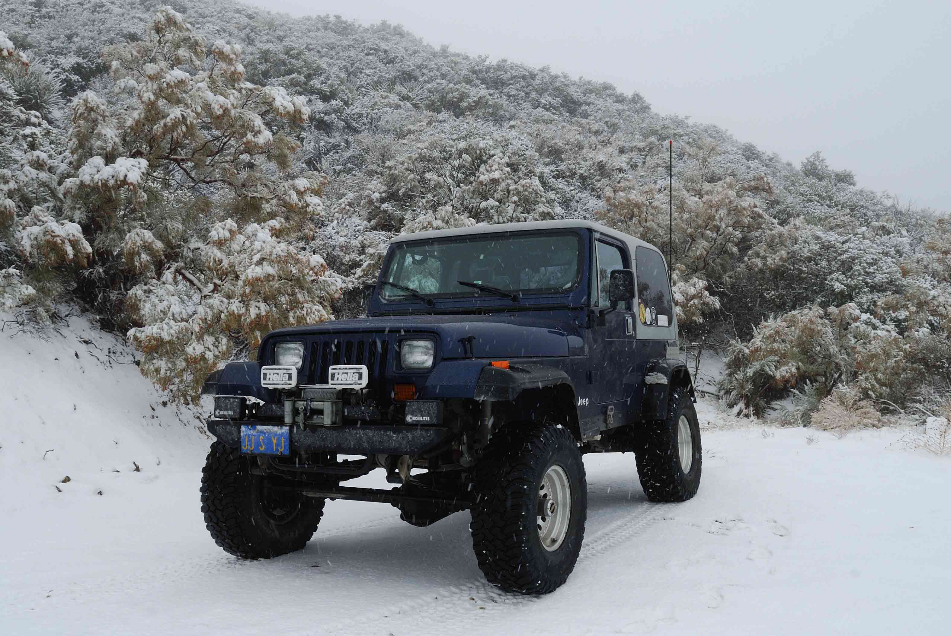 Those are not spots on the lens...snow.