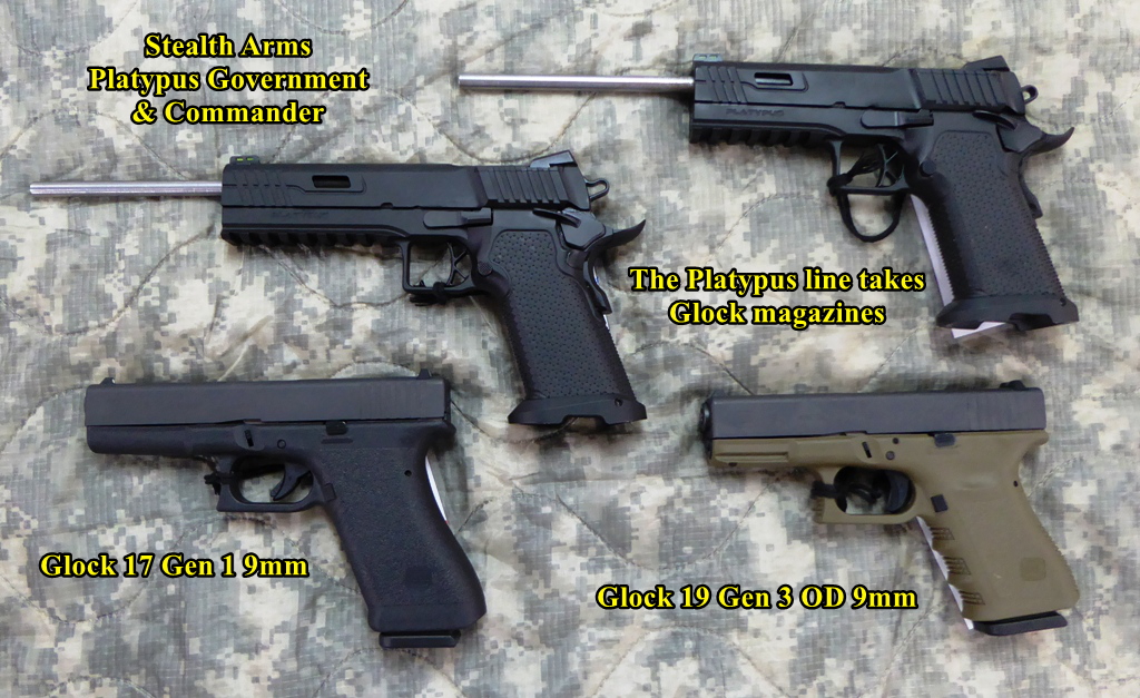 P1100517 1024 Platty Glock 01.jpg