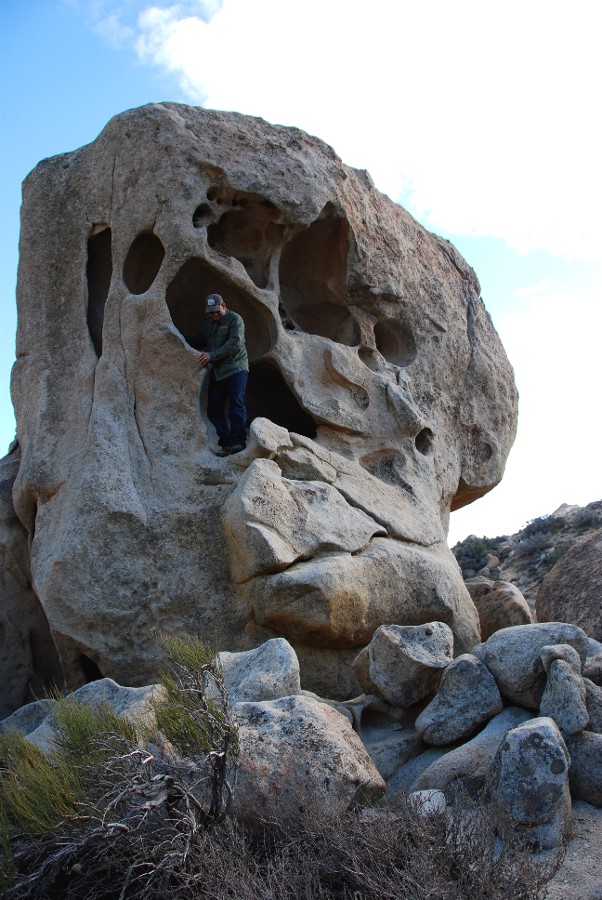 DSC_0135.JPG