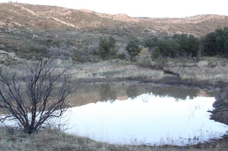 cedar creek 25.JPG