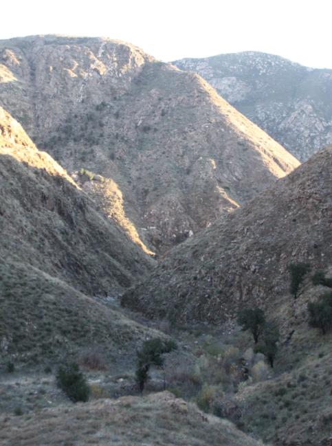 cedar creek 18.JPG
