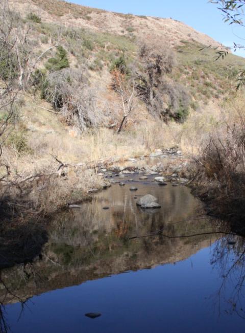 cedar creek 8.JPG