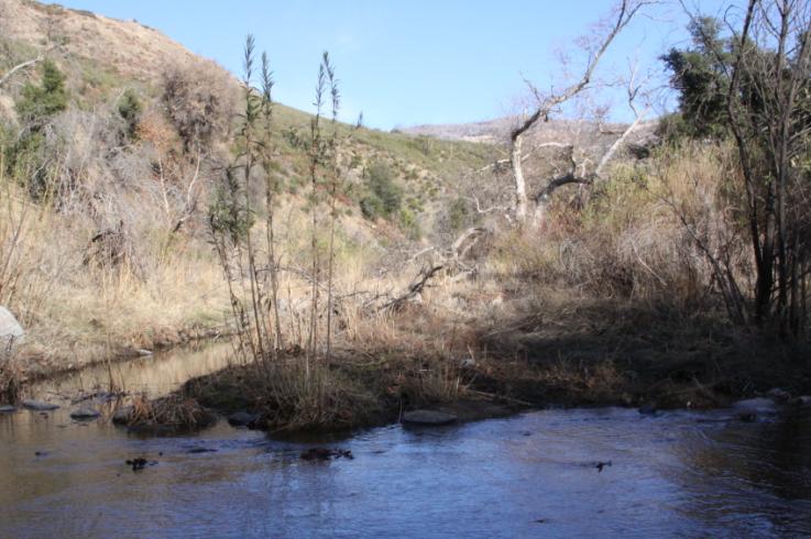 cedar creek 7.JPG