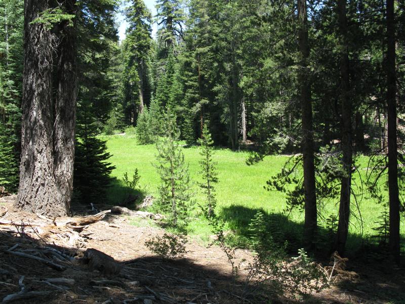 Buck Rock Trail