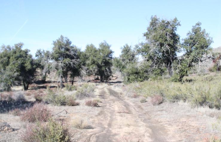 cedar creek 2.JPG