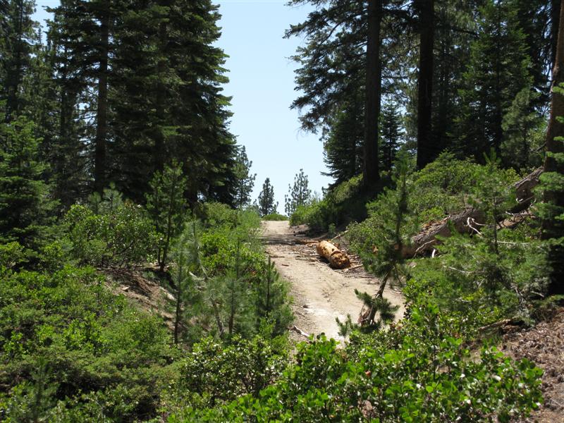 Buck Rock Trail