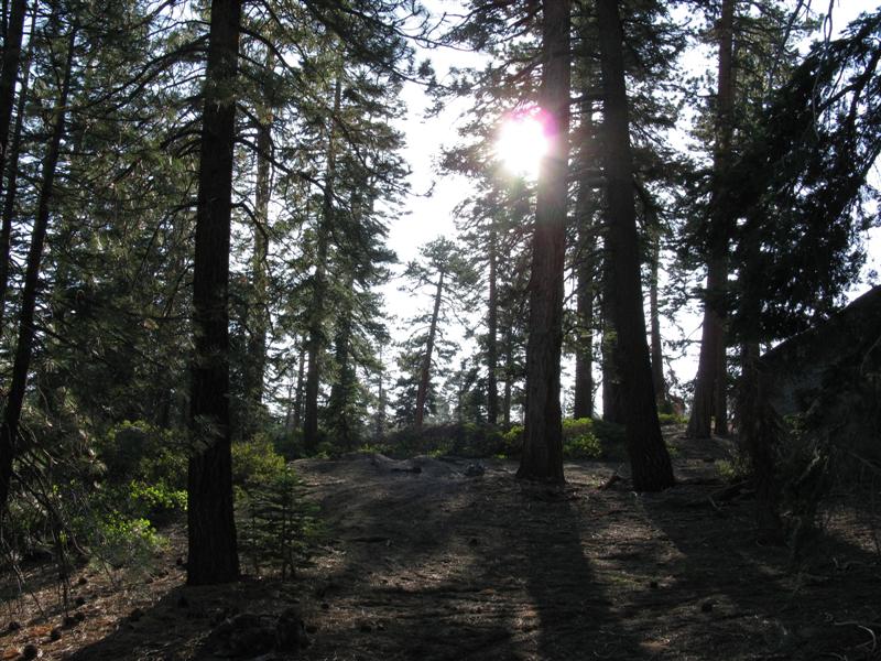 Camp on the Buck Rock Trail