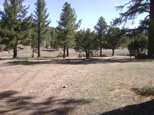 Juiper Springs Group Camp