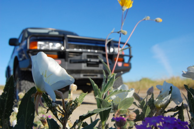 DSC_3879.jpg
