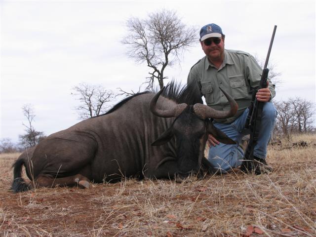 Old bull