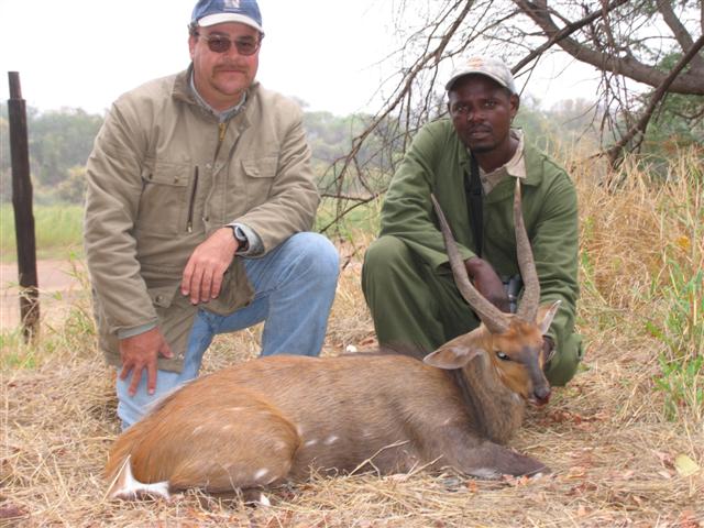 Bushbuck