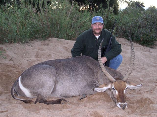 Waterbuck