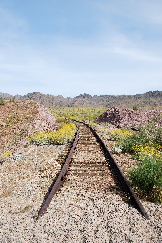 These are a set of abandoned railroad tracks that run through the area that supplied the old mines out there.