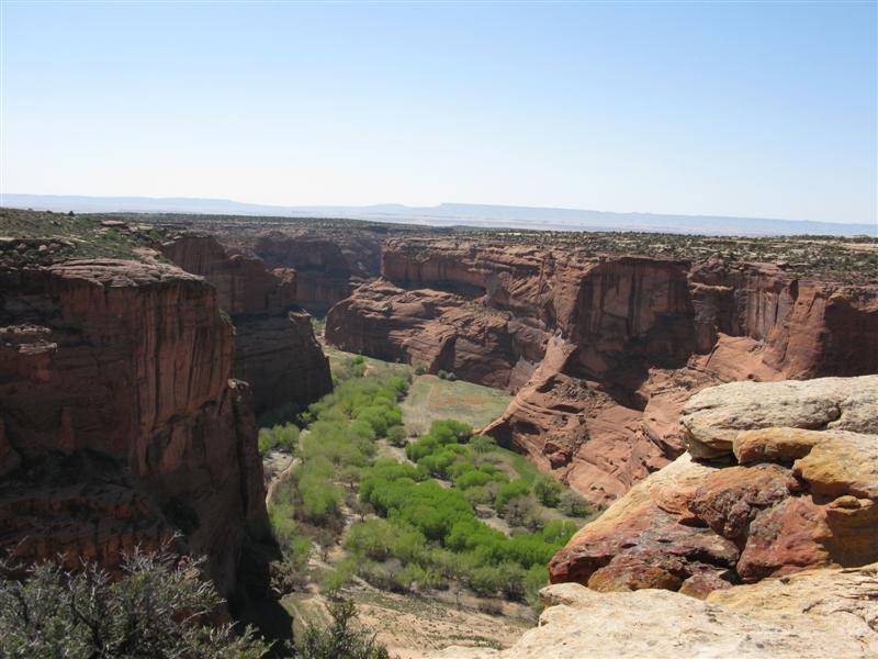 IMG_1287 (Medium).JPG