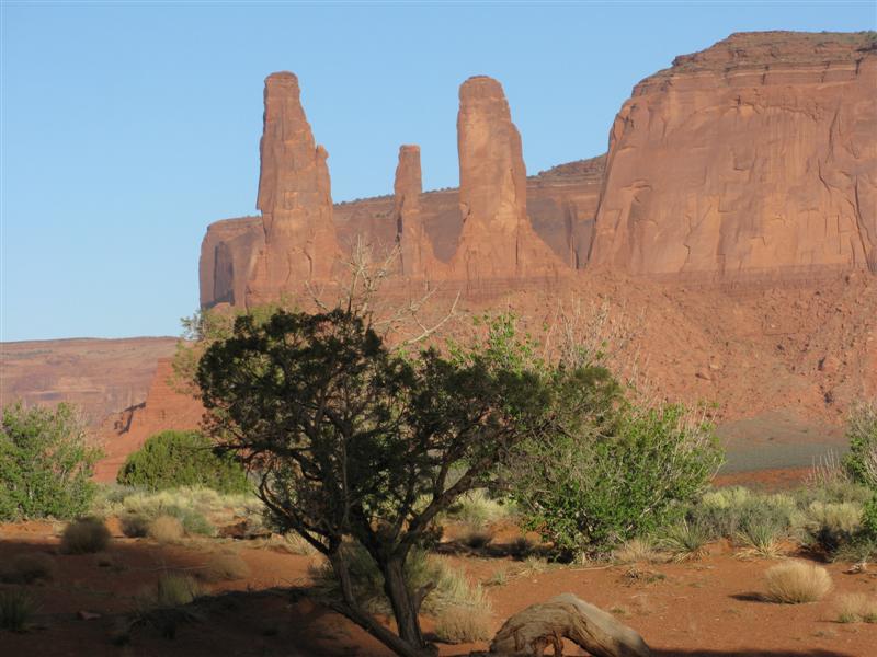 IMG_0243 (Medium).JPG