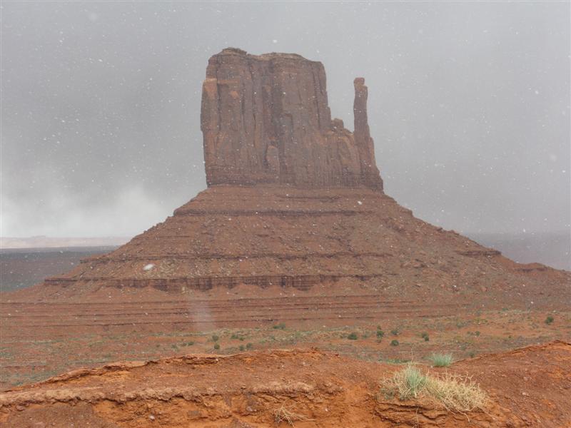 IMG_0334 (Medium).JPG