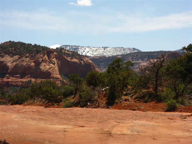 IMG_0015 (Medium).JPG