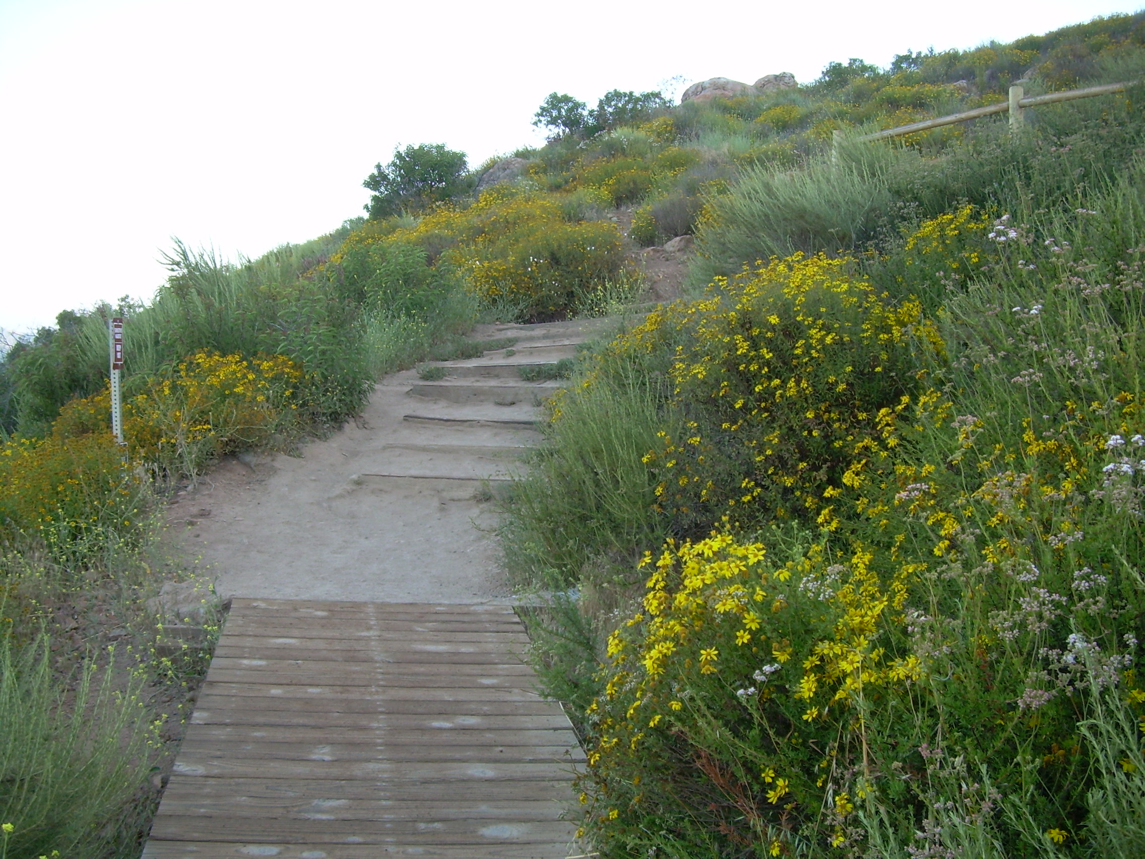 DSCN7831.JPG
