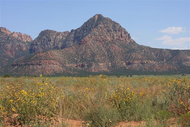 Bishop Elk 033 (Small).jpg