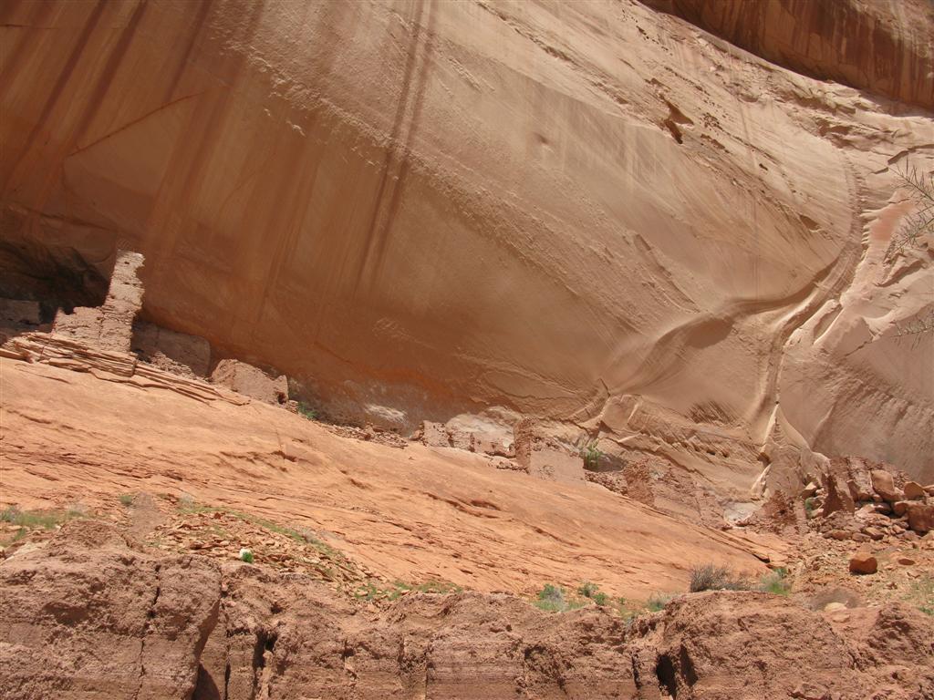 IMG_0195.JPG