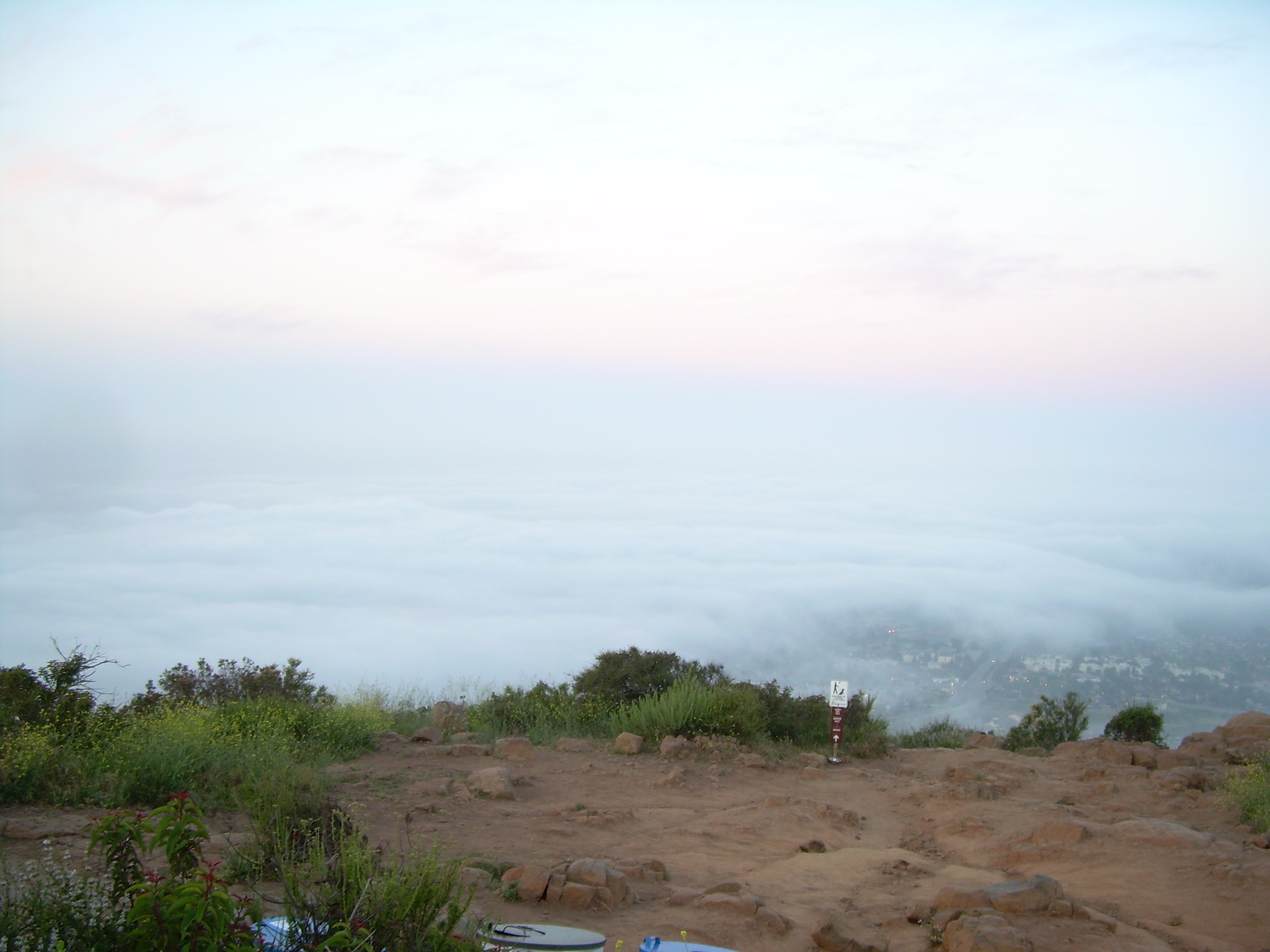 DSCN7847.JPG