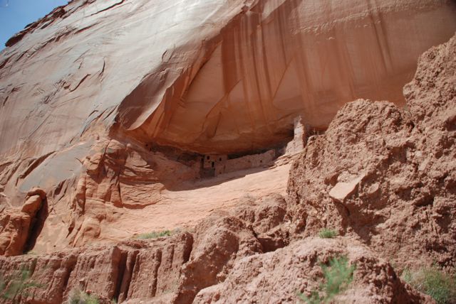 DSC_0102.jpg