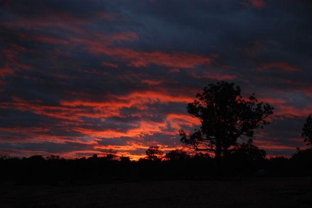 DSC_0363.jpg