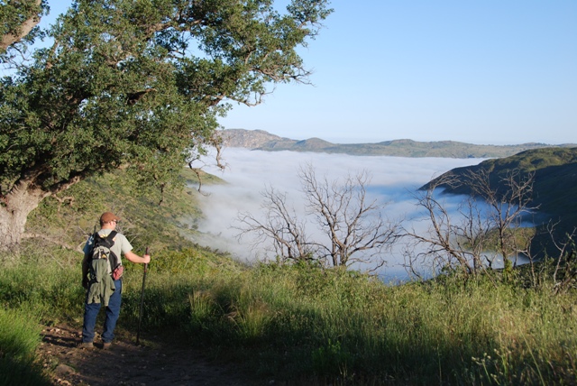 John observing the cloud layer about a quarter of a mile into the trail.