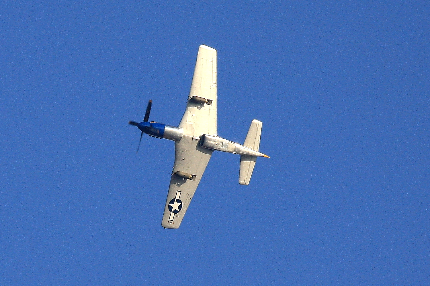 IMG_6629_1.JPG