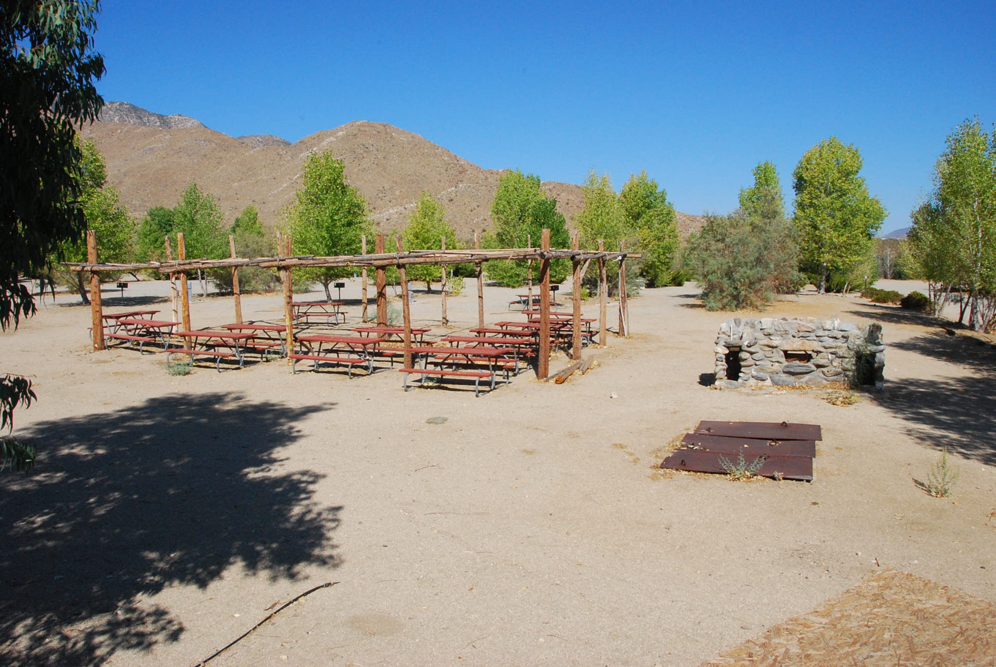 Campsite Canopy