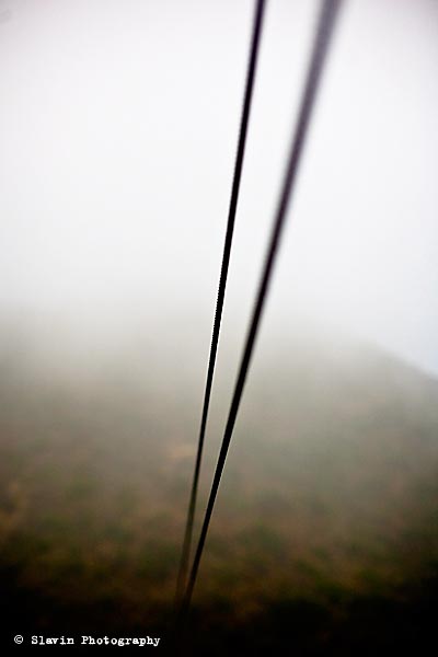 Slavin_100704_2036.jpg