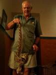 Puff adder Namibia--Big boy
