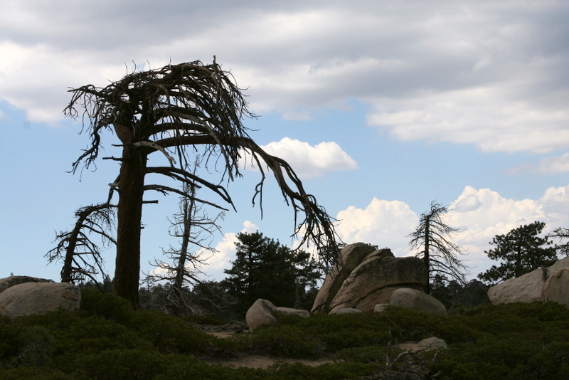 Southside of Big Bear