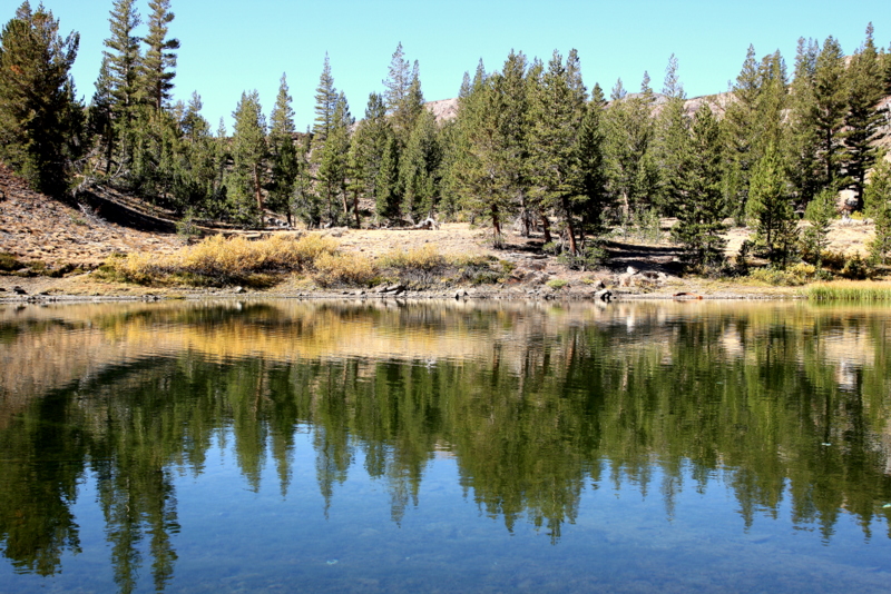 Tioga Pass Pond