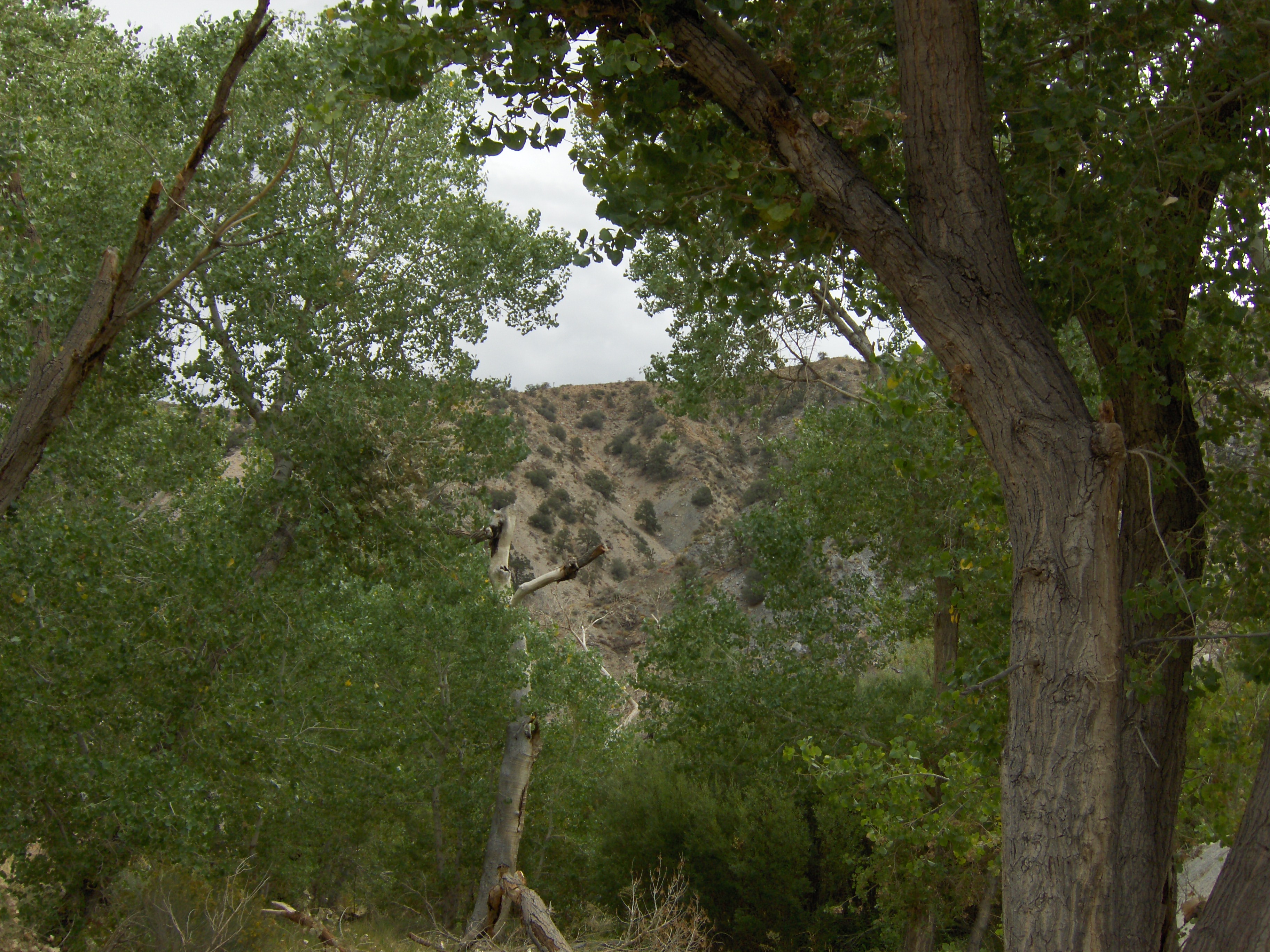 HPIM2679.JPG