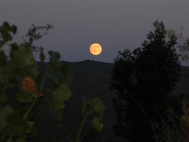 Moonrise