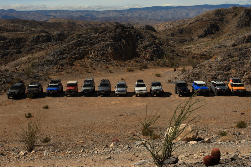 The Line Up