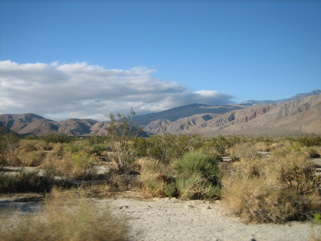 anza 10-24-10 026.jpg