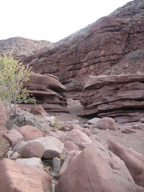 in one of the washes