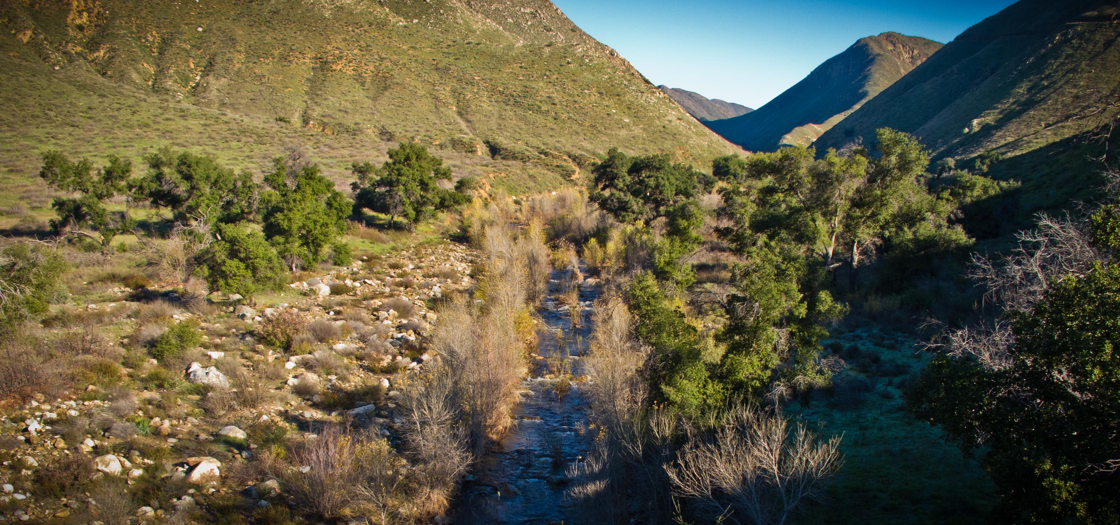 The San Diego river.