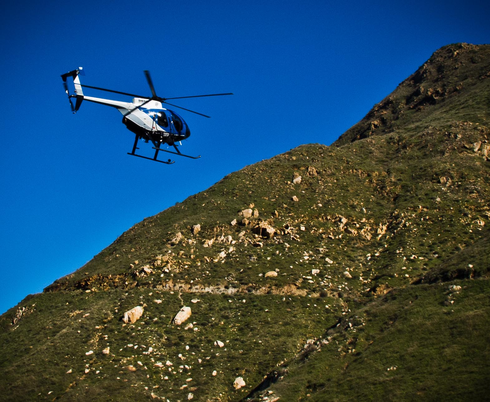 A Sheriff's chopper kept buzzing the canyon. Wonder what they were looking for?