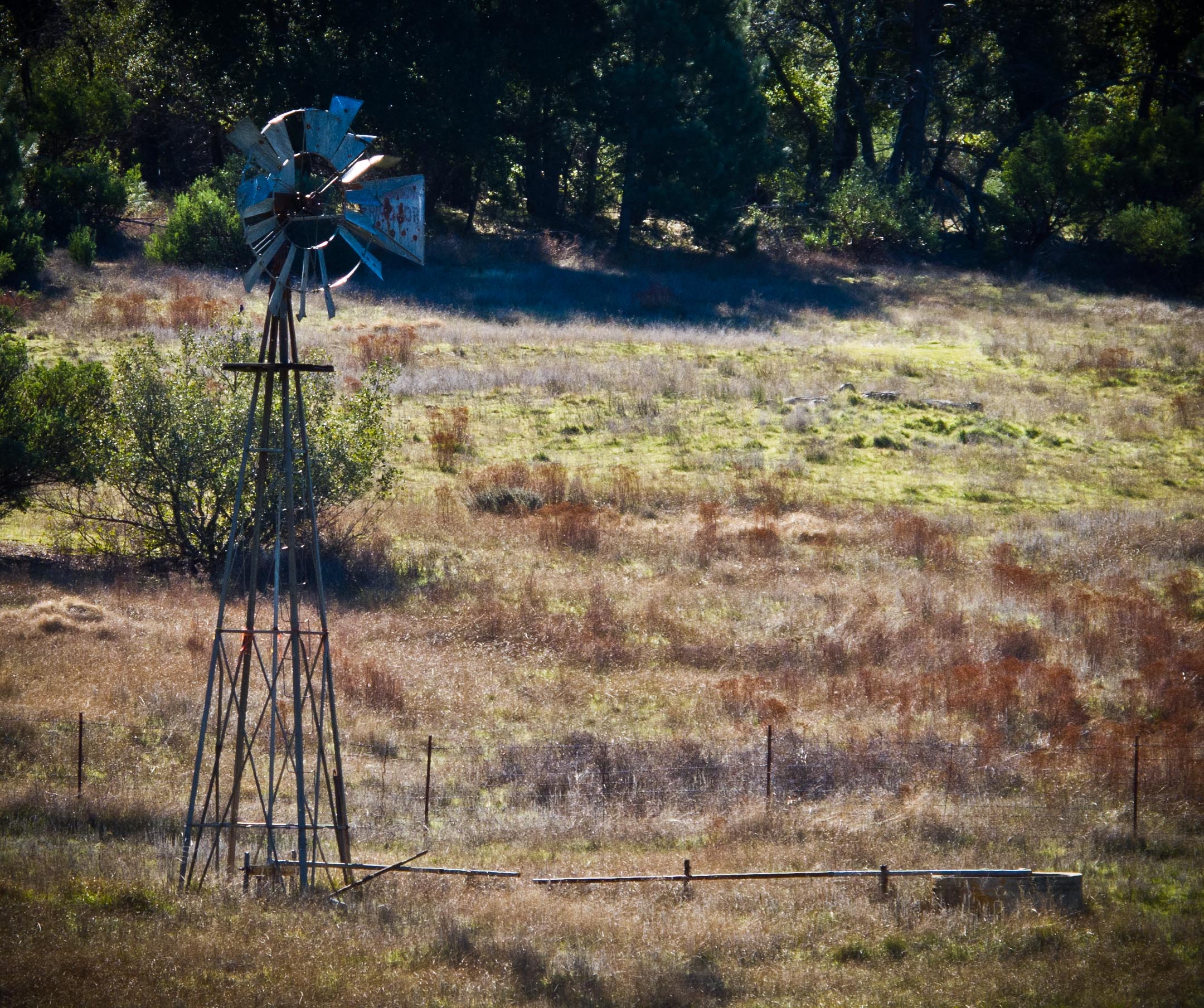 A cool windmill we saw on Boulder Creek Road.