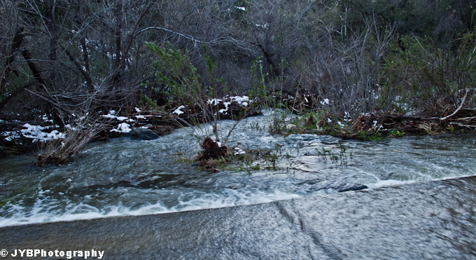 Laguna Snow-19.jpg