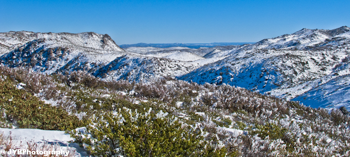 Laguna Snow-14.jpg
