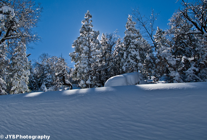 Laguna Snow-12.jpg