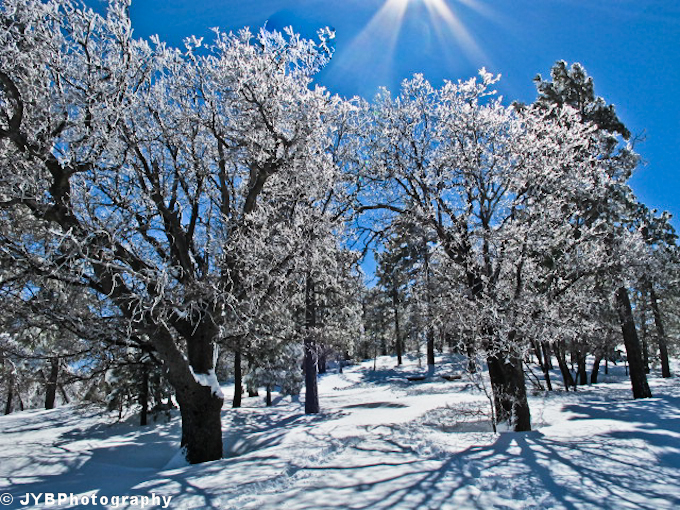 Laguna Snow-10.jpg