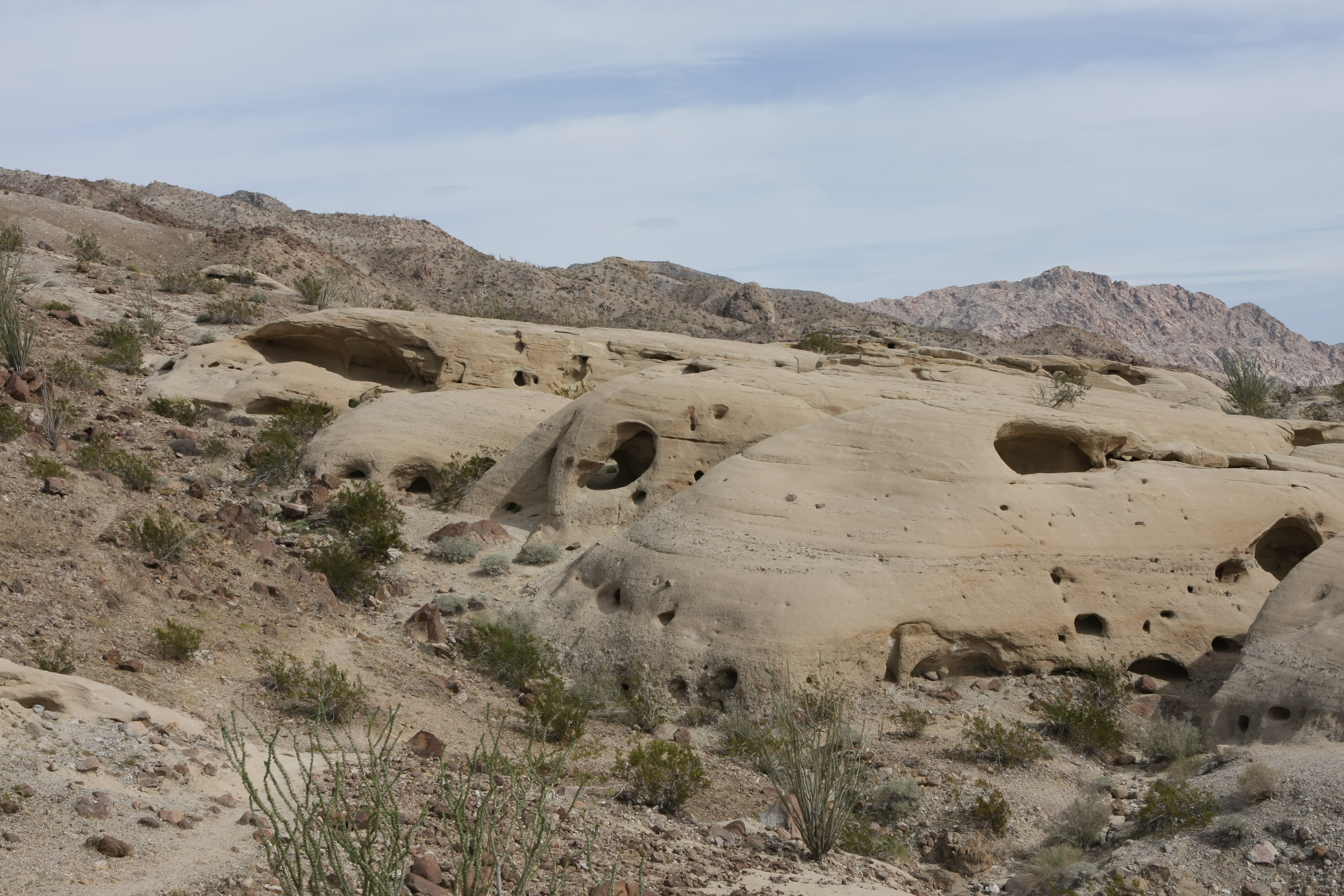 After lunch in town we made our way to Split Mountain and Fish Creek. We made the mile hike to the Wind Caves which never disappoint. The incredible diversity of the Split  Mountain area can be scene from the Wind Cave area. Unfortunately I did not bring a camera. All pictures posted are courtesy of my friend Chris Fitzgerald.