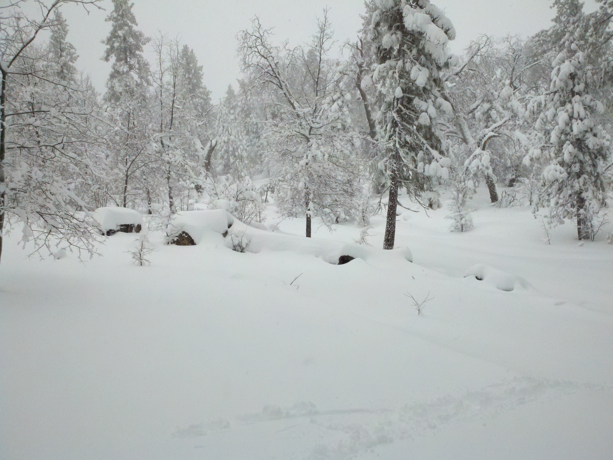 Another view from the cabin