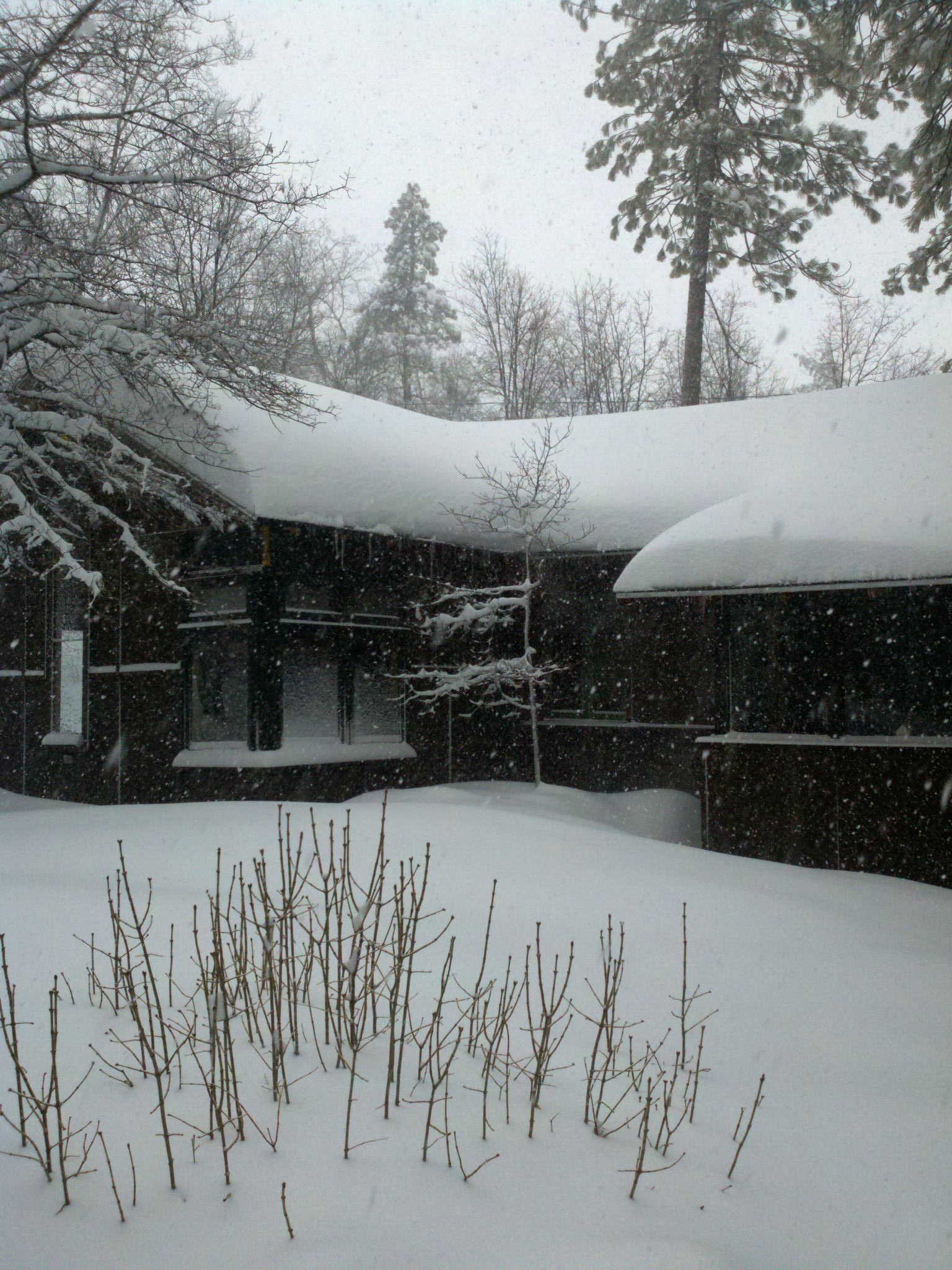 One of my neighbors cabin