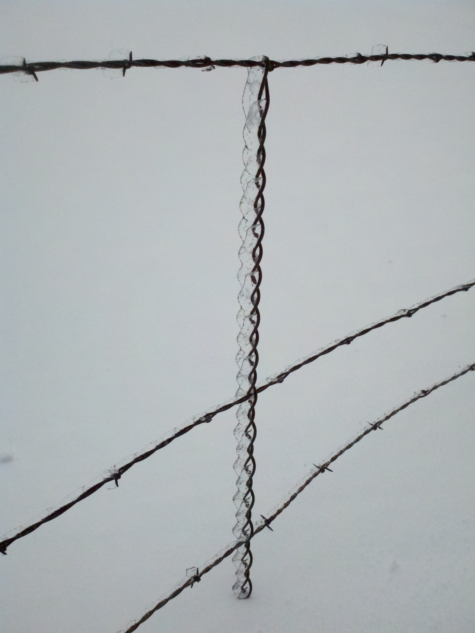 Barbed Wire Ice